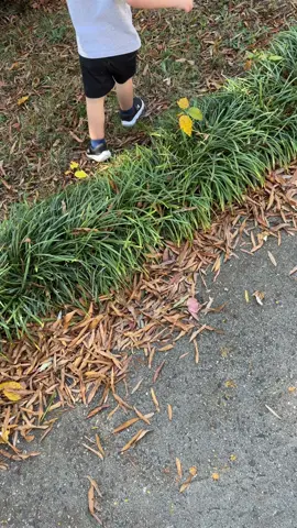 #fyp 