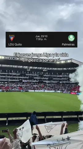 Empezamos la semana con la mente en el partido por semifinales de Libertadores: Liga vs Palmeiras