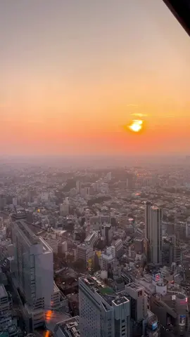 Tokyo im Sonnenuntergang — ein Moment, der bleibt ✨🇯🇵 #ShibuyaSky #TokyoSunset #JapanVibes  #GoldenHour #渋谷スカイ 