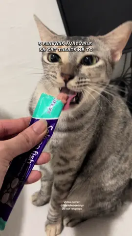 Cat treats na may limang flavors na available #cattreat #catsoftiktok #furbaby #marielleeeeeyyy 