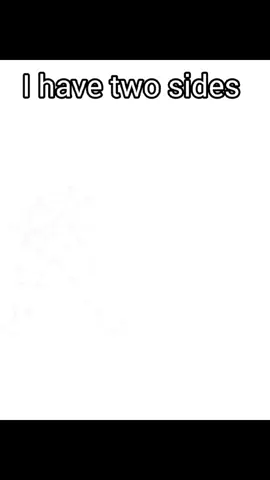 créditos a los artistas jaja #pokemon #megaevolution  #meme #ihavetwosides #letsgogirls 