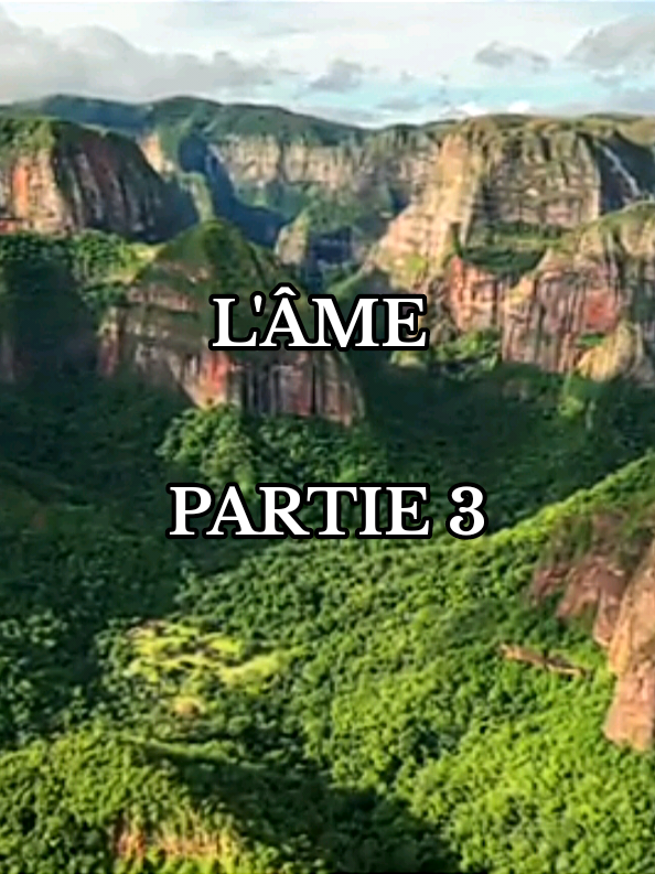 l'âme partie 3 #pourtoi #videoviral #tik_tok #viral #fyp 