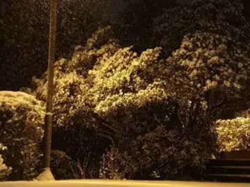 —тгк: snapsound | трек уже в тгк #fyp #recommendations #lyrics #song #текстпесни   