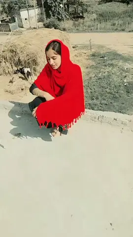 #foryoupage #tiktok #سنگت_ویڈیو_وائرل_کریسو_آپ_ہیں🥀🌼🙈✨🎇 #💔❤️‍🔥💔💔🥹 