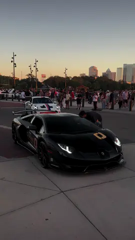 Gintani SVJ revs 😤 | #lamborghini #svj #cartok #carhub #fyp 