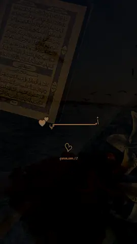 #VNVideoEditor #ستورياتي_مجرد_ذوق #امي #ستورياتي 