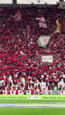 O show da torcida do @Flamengo na entrada do time em campo contra o @SE Palmeiras #flamengo #torcida #palmeiras #futebol #football 