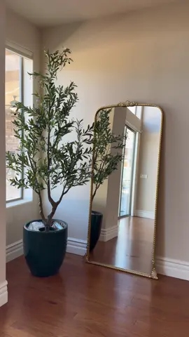 the quality of this olive tree 😍😍😍 #olivetree #olivetreedecor #artificialtree #artificialolivetree #tiktokshopcreatorpicks 