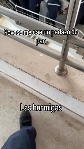 ants / Муравей