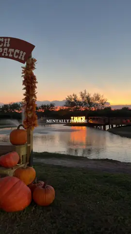 The most perfect season 🧡 #autumn #iamanautumn #fallseason #pumpkinpatch #familytime 