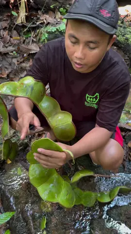 kena yg ni boleh sebatu pergi bau dia 🤣