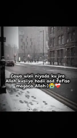 🇱 🇮 🇰 🇪 ❤️🇻 🇮 🇩 🇪 🇴  #plz follow me ciwanka wuu cusubyahay plz follow isoodhaha #fyppppppppppppppppppppppp #capcat #fyp 