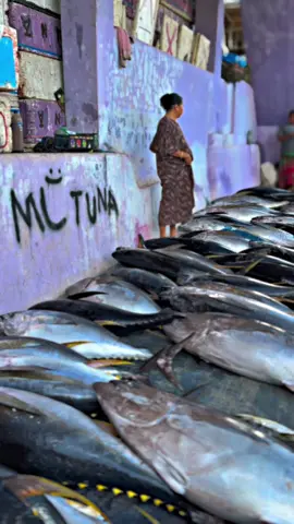 msuk lagi 🔥🔥 #fypage #masukberanda #mltuna #bosmuda😎 #ikantuna 