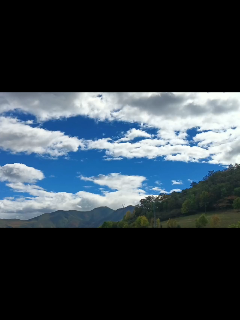 #LoboEstepario #parati #viralvideo #paratiiiiiiiiiiiiiiiiiiiiiiiiiiiiii #fyp 
