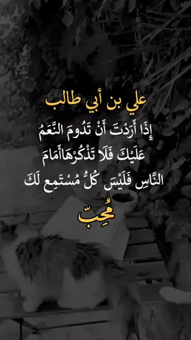 #إكسبلوررررررر_explore #عبارات 