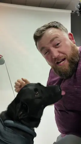 Here are the top 10 best costumes for Good Boys and Girls!!! #halloweencostumes #dogcostumes #petcostumes #costumeideas