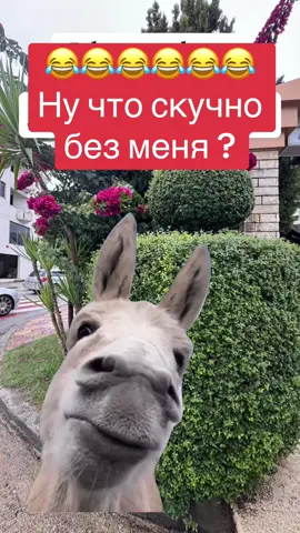 #MemeCut #Meme 