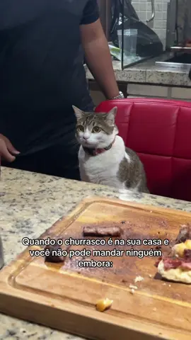 Gente, vai embora pelo amor de Deus 😂 #fy #meme #gatos #capcut 
