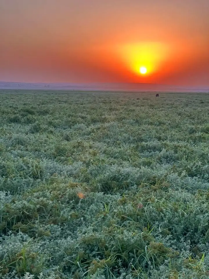 #سوريا_تركيا_العراق_السعودية_الكويت_عمانِ  #مجرد________ذووووووق🎶🎵💞  #تصويري_احترافي_الاجواء👌🏻🕊😴  #تصميم_فيديوهات🎶🎤🎬  #ترند 