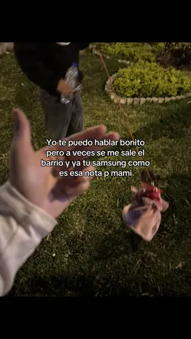 oño #fyp #paratii #viral #xybca #xybca 
