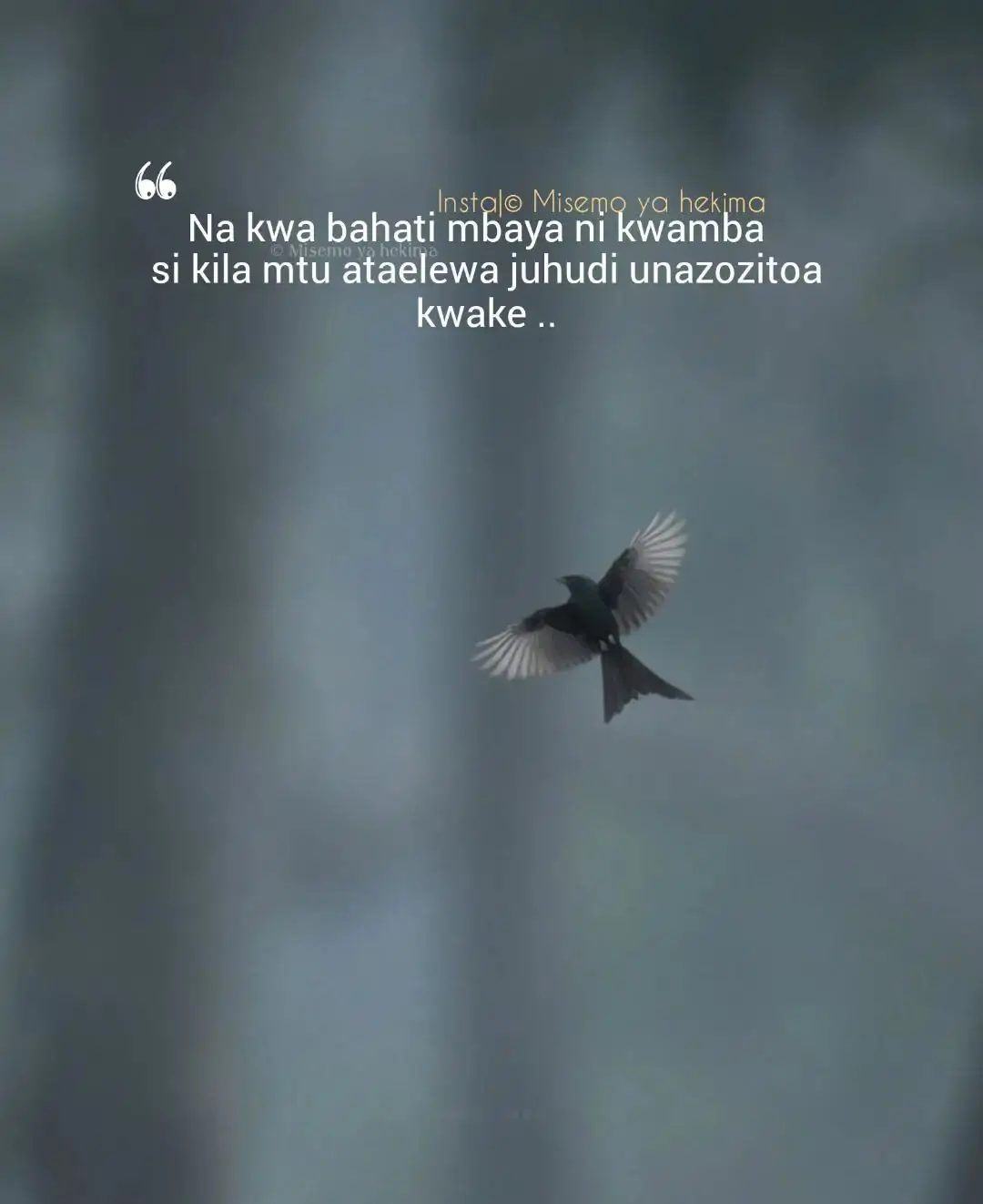 #creatorsearchinsights #1millionviews #views #misemo_ya_hekima 