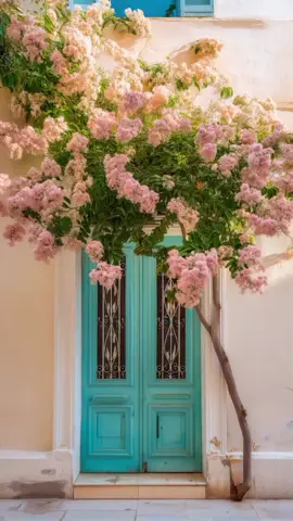 ياغالي ياأغلـه من غالي #اجواء_الربيع #قصائد_قديمه #تصميم_الـهدى_lfl99l #الهـدي_لـتصاميم_الحسينيه #قصائد_قناة_الفرقدين_الفضائية 