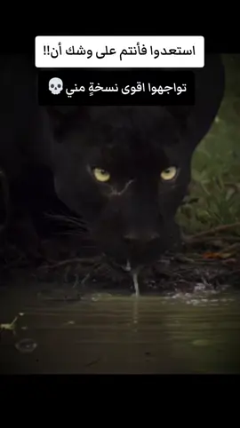 #viralvideo #vypシ #viraltiktok 