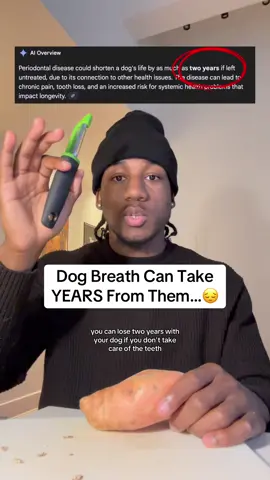 Her teeth and breath after just over a month are a night and day difference #dogcare #dogdental #dogdentalcare #doghealth #dogsupplements 