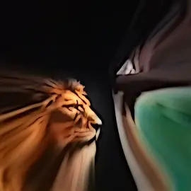 تسليك رجعه🗿صوت هاذا اعتقد@النايب بزون #النهضه_المهدويه_am #ولايه #الضامن #علاء_المهدوي_313 #الهم_صل_على_محمد_وأل_محمد 