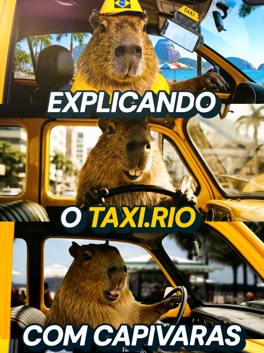 🦫 𝑷𝒐𝒓 𝒒𝒖𝒆 𝒂 𝒄𝒂𝒑𝒊𝒗𝒂𝒓𝒂 𝒗𝒊𝒓𝒐𝒖 𝒇ã 𝒅𝒐 𝑻𝒂𝒙𝒊.𝑹𝒊𝒐? Porque ela é esperta, tranquila e sabe escolher o melhor caminho, igual a quem usa o app! Com o Taxi.Rio, você apoia motoristas da cidade, garante confiança e paga um precinho justo. 📲 Baixe o app e venha com a gente: simples, seguro e com o selo de aprovação das capivaras cariocas! 🚕💛 #fy #fyp #foryou