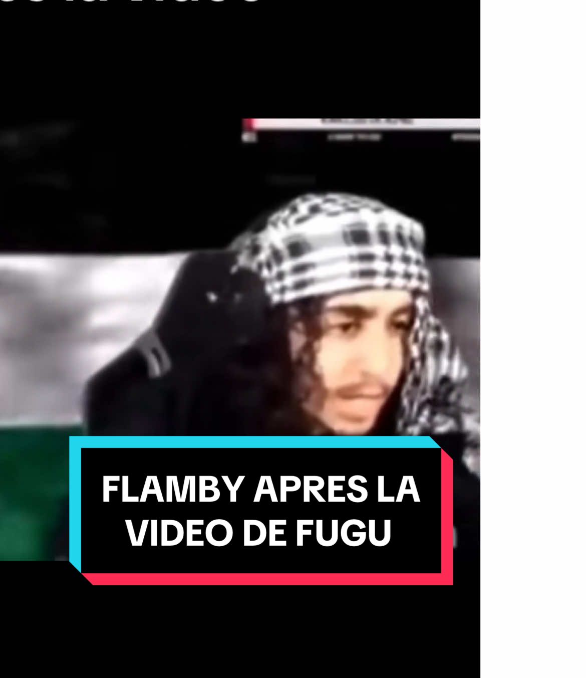 Miskine il mérite pas ça #flamby #fugu #helydia 