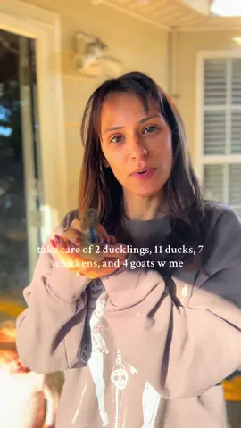 I’d offer a prize for the closest guess of my water bill but I’m going to need all the money to pay the water bill 😅 #homestead #hobbyfarm #goats #ducks #farmchores 