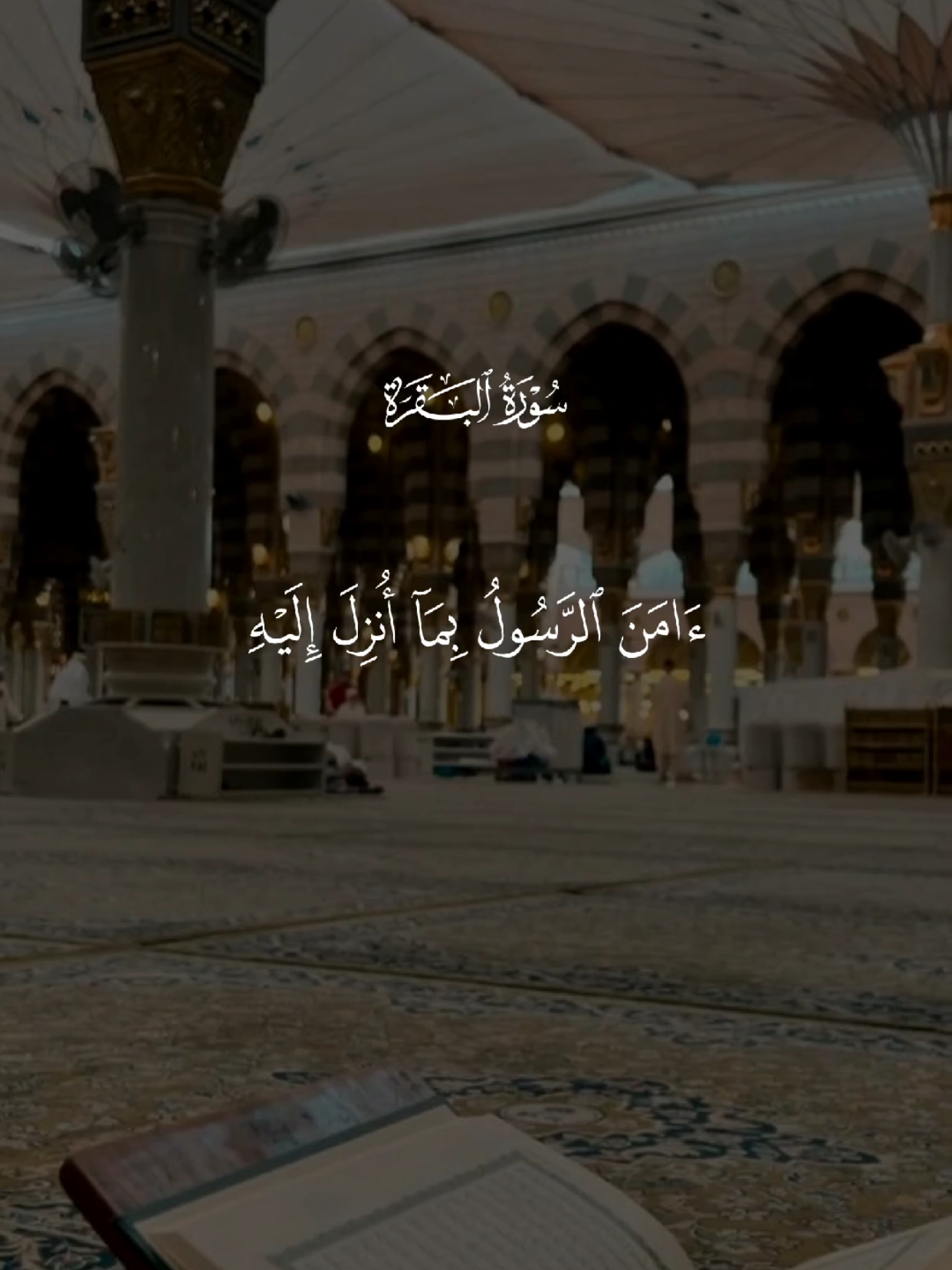 #قران #quran #قران_كريم #Allah #اللهم_صلي_على_نبينا_محمد 