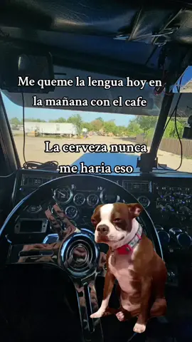 La cerveza nunca me haría algo asi de feo🥹 #humor #risas #viral #cafe #cervesa 