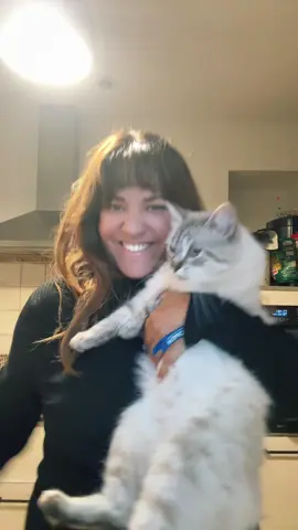 La trends du frigo en retard avec croquette mon chat 