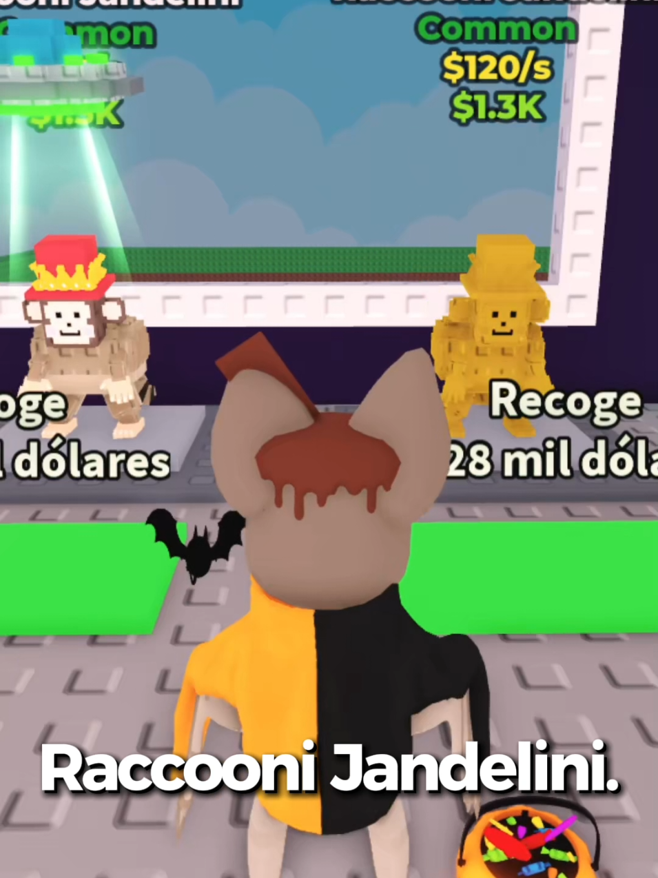 Tienes un Raccooni Jandelini? 🤔 #roblox #stealabrainrot #adminabuse #sammy  #masqueradebry 