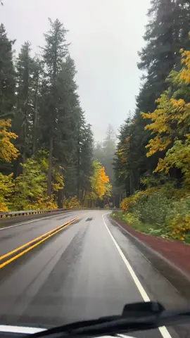 Disfrutando y contemplando la Naturaleza 🍂 #libertad #contruccion #disfrutodemisoledad🌻 #otono🍁🍁🍁 #naturalezaporelmundo 