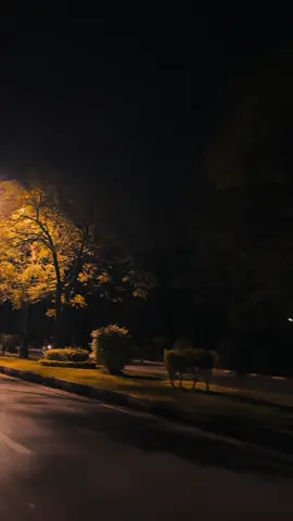 Ao🖤#foryou #foryoupage #newaccount #naturalbeauty #itsluqman 