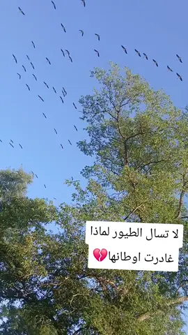 #CapCut @مشاهير التيكتوك❤🖤🧿 @يوسف الضيف ابراهيم @جبريل 💘🫡💪 