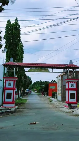 Desa Tarub #tarub #tegal #drone #dji 