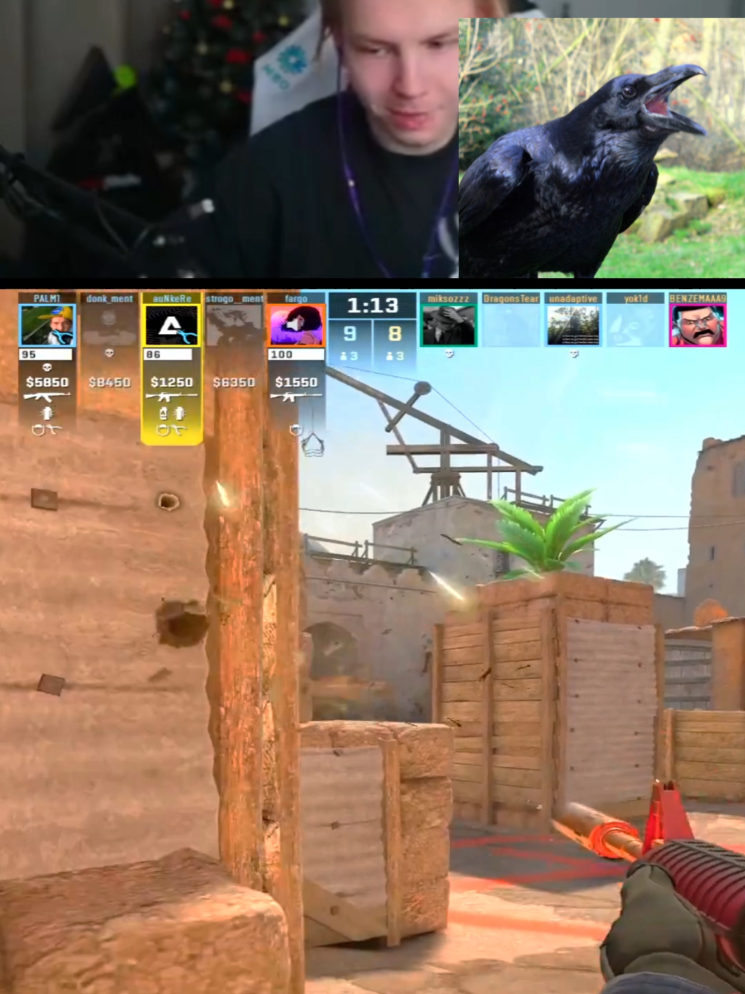 twitch: strogo #строго #strogo1337 #strogo