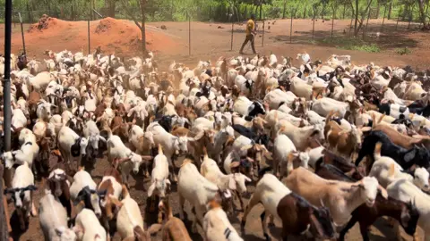 Musawo #fypシ゚ #musawo 