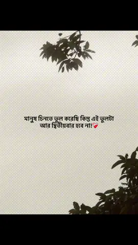 মানুষ চিনতে ভুল করেছি কিন্তু এই ভুলটা আর দ্বিতীয়বার হবে না!❤️‍🩹 #foryou #banglacaption #sadcaption #emotionalvideo #fyp 