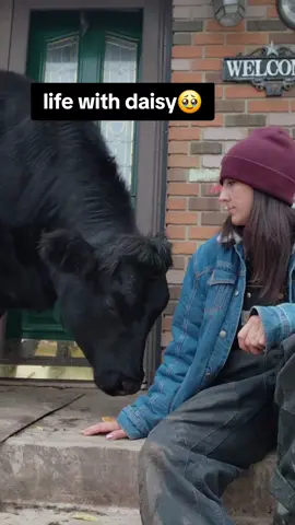 Yes you can be completely head over heels obsessed with a cow...cant get enough of my girl!  #cows #pets #Love #bestie #fyp