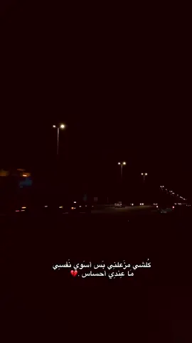#كربلاء #كربلاء_مدينة_العشق_والعاشقين #كربلاء_المقدسة #الحله #نجف 
