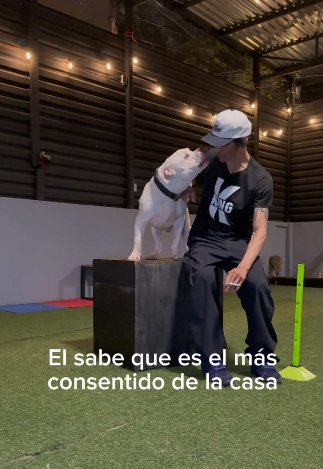 Les presento a mi amigo Román. 