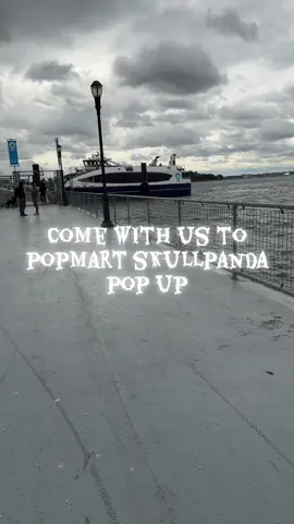 Went to popmart pop up #popmart #skullpandapopup #skullpandapopmart #nycskullpanda 