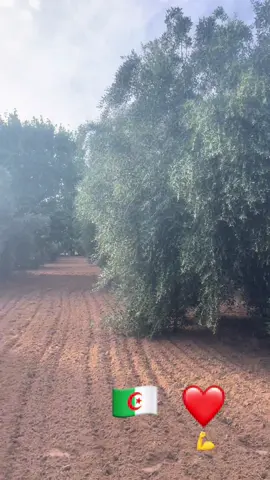 #مشاءالله_تبارك_الله 