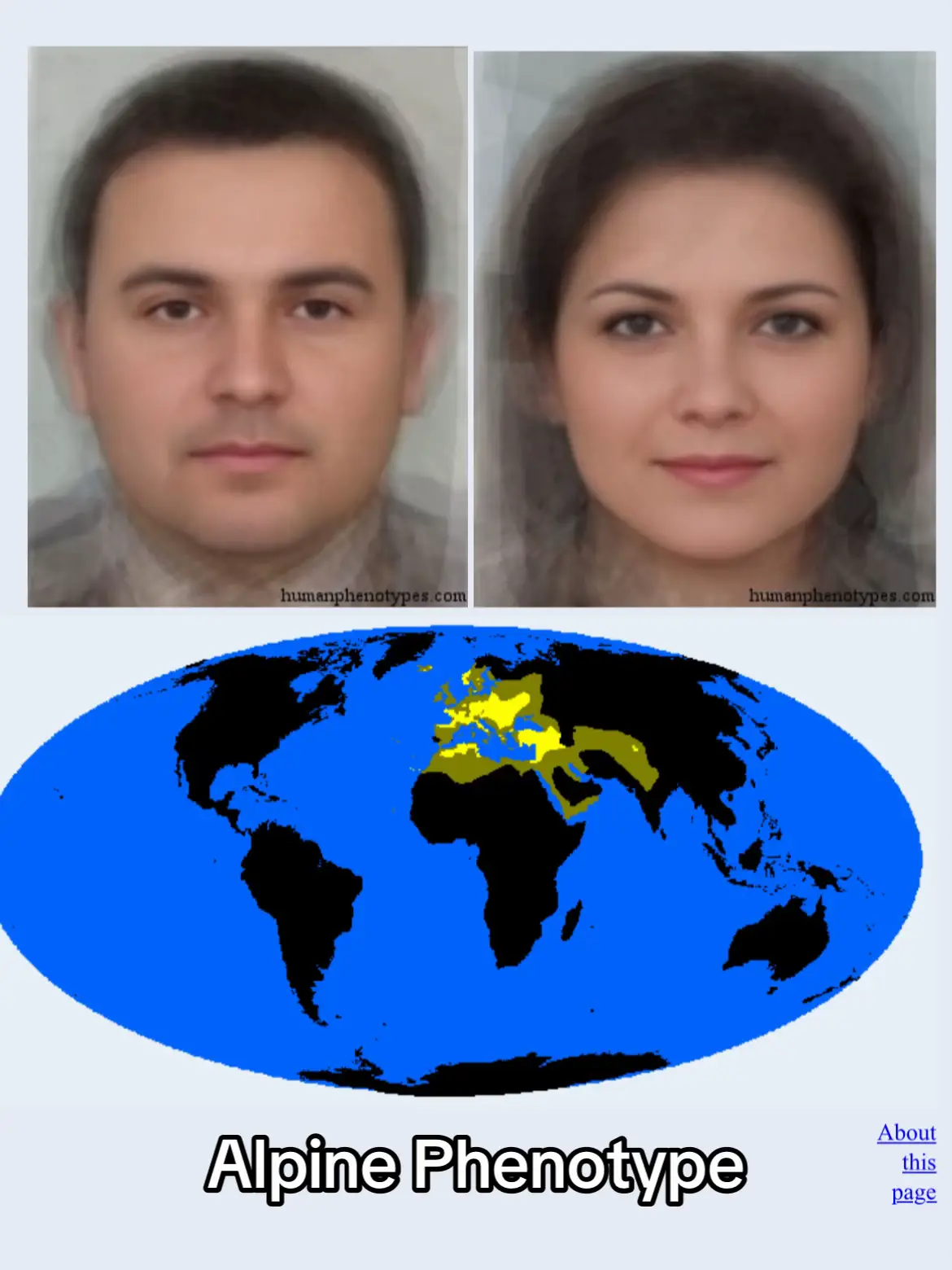 #fyp #phenotype 