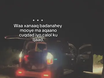 nicin.. . . #fyp #foreyou #somalitiktok #lander 